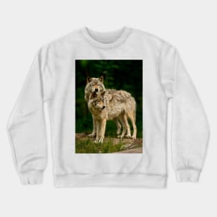 Gray Wolf Crewneck Sweatshirt